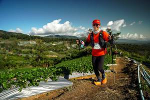 BIB: 4357
                            <button type="button" onclick="openModal(19125612)" class="btn btn-primary btn-sm float-right btn-popup" data-toggle="modal" data-target=".modal-high-quality">
                        <i class="fas fa-shopping-cart"></i> Add to Cart
                    </button>
                                            <button type="button" onclick="isThisMe(19125612, true)" class="btn btn-success btn-sm float-right btn-popup btn-isme hidden" data-toggle="tooltip" data-placement="bottom" title="นี่คือรูปของคุณใช่ไหม คลิกที่นี่เพื่อเอาเข้าอัลบั้ม">
                        <i class="fas fa-plus"></i> Add to album
                    </button>
                    <button type="button" onclick="isThisMe(19125612, false)" class="btn btn-warning btn-sm float-right btn-popup btn-isnotme hidden">
                        <i class="fas fa-ban"></i> Remove from album
                    </button>